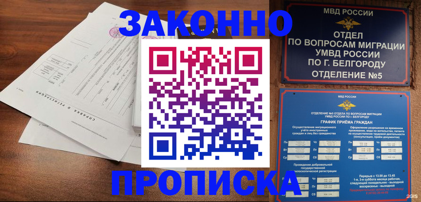 прописка в Дубне